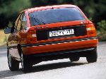 nuotrauka 16 Automobilis Opel Vectra Hečbekas (B [atnaujinimas] 1999 2002)