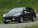 foto 2 Auto Peugeot 207 SW vagons (1 generation [restyling] 2009 2013)