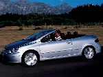 fotografie 3 Auto Peugeot 307 СС kabriolet (1 generácia 2001 2005)