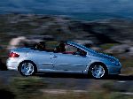 фото 5 Автокөлік Peugeot 307 Кабриолет (1 буын [рестайлинг] 2005 2008)