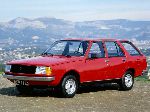fotografie Auto Renault 18 kombi (1 generace 1978 1986)