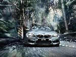 عکس 12 اتومبیل BMW 6 serie Gran Coupe سدان (F06/F12/F13 [بازسازی] 2015 2017)