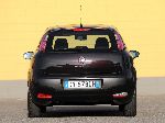 fotoğraf 12 Oto Fiat Punto Evo hatchback 5-kapılı. (3 nesil 2005 2012)
