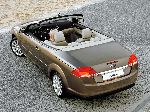 Foto 12 Auto Ford Focus CC cabriolet (2 generation [restyling] 2008 2011)