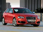 світлина 28 Авто Audi S3 Хетчбэк 3-дв. (8P 2006 2008)