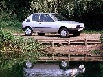 照片 7 汽车 Peugeot 205 掀背式 3-门 (1 一代人 1983 1998)