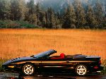 fotoğraf 9 Oto Pontiac Firebird Cabrio (1 nesil [2 restyling] 1969 0)
